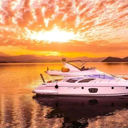 船屋 Vision Yatch *
